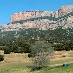 Roca Alta